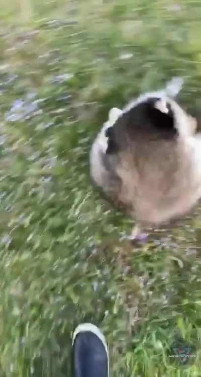 He has the dark souls strat...