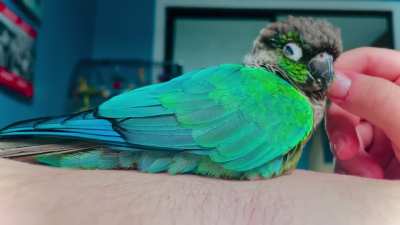 Look at this lil guy