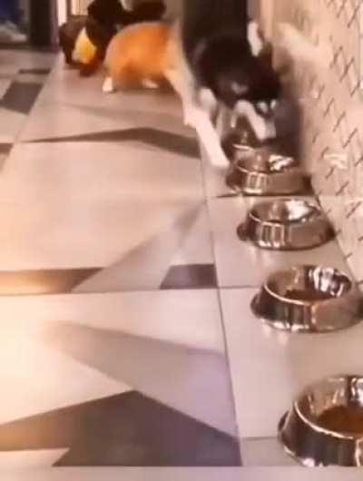 Just being a complete jerk