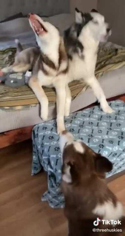 Imagine living next door