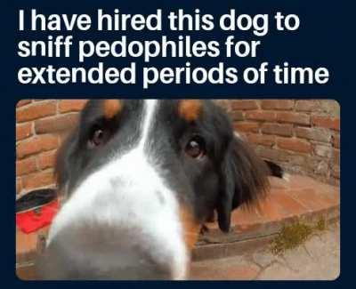 POV: You are an r/196 user