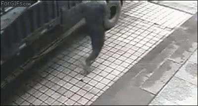 Never bring a knife to a tire fight