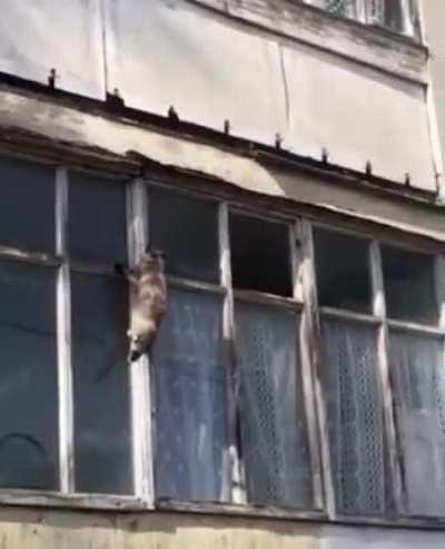 Meowssion: Impawssible