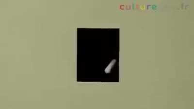 What the actual fuck....