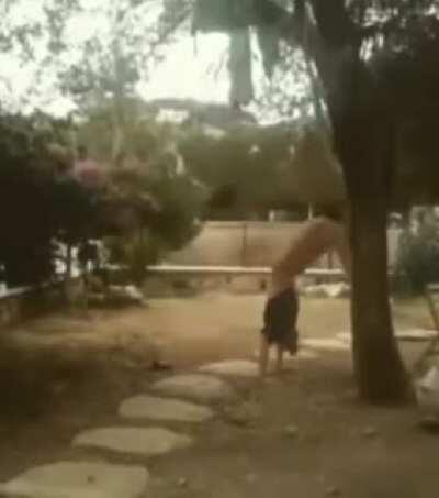 Daca va intrebati cum iau nastere RROMditorii