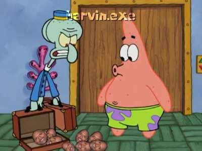 What's in these bags? ROCKS?!