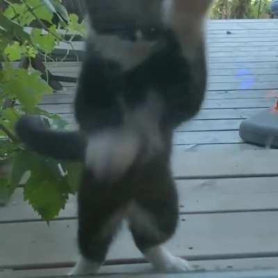 5 minutes after they demanded to go outside