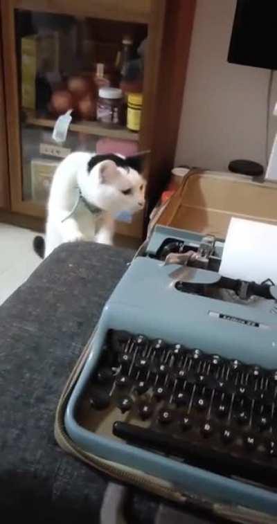 To check out a typewriter