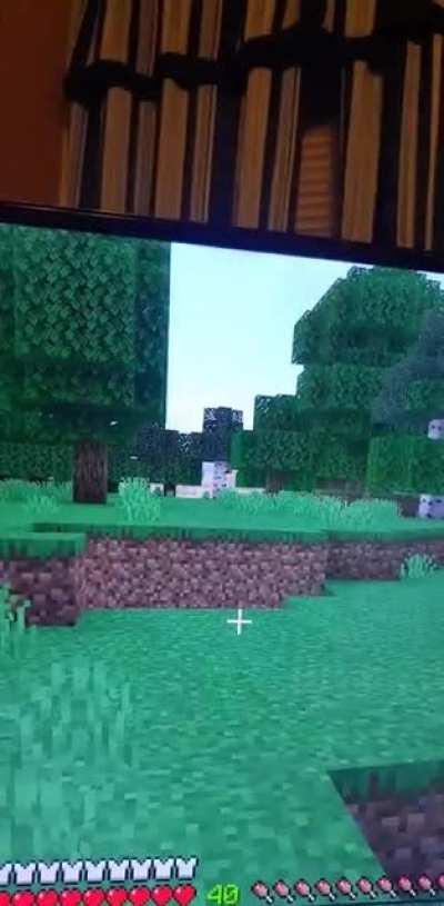 Thought this was funny in my survival world