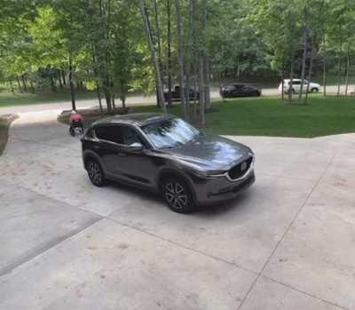 I feel so bad for laughing but her scream is so funny