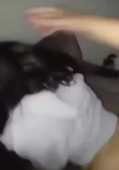 “If it’s missionary we’re making love, otherwise I’m just fucking you.”