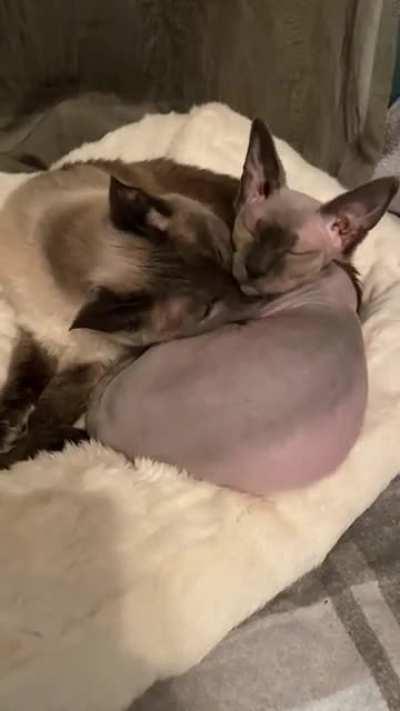 The perks of smelling like wet potatoes