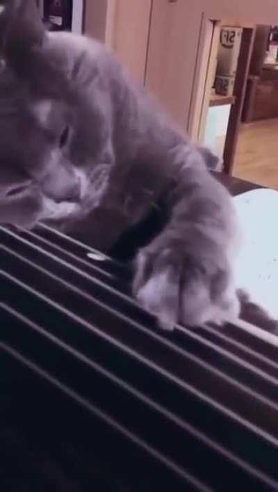 Немного музыки