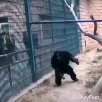 Маленький диктатор и история великой победы