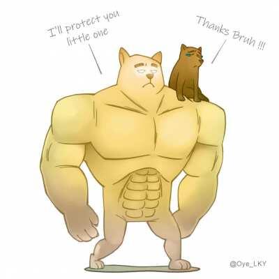 I am late to the party. I hope this meme is not dead yet.