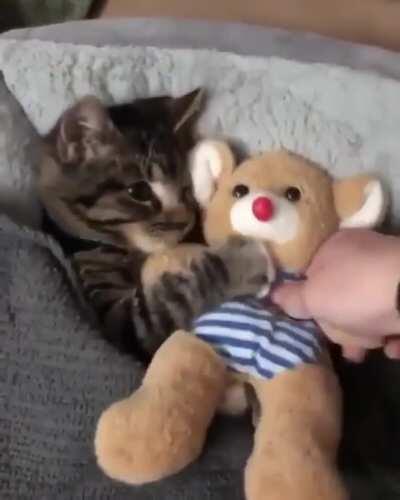 He really love his teddy...