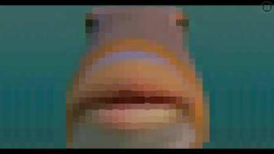 What do you guys think of my layout??? (I think it’s cool 😎)