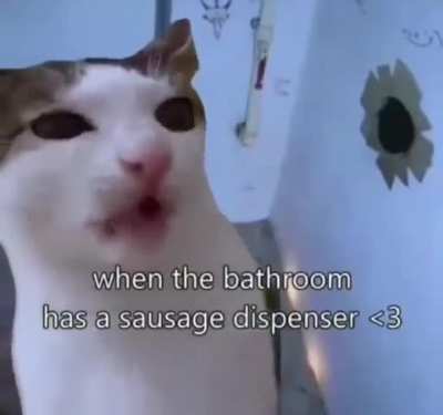 Wunk have a little treat