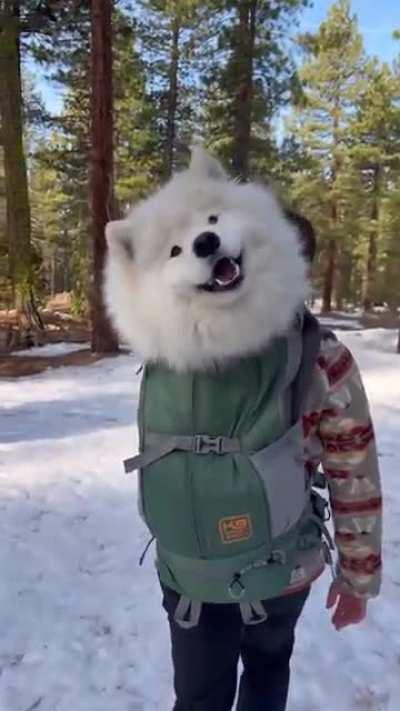 Doggopak