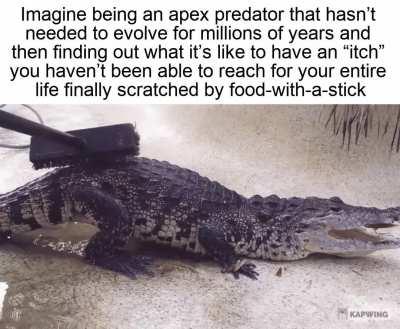 food with a stick shall survive for today