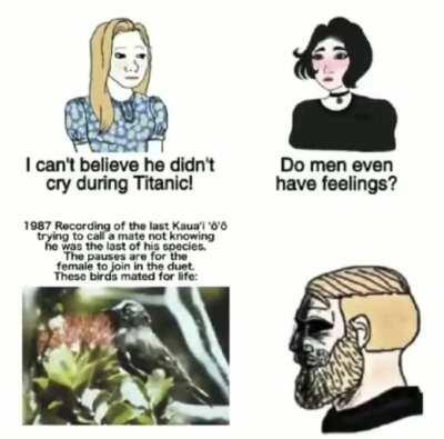 A moment of silence for that bird