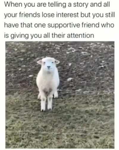 I hate when this happens