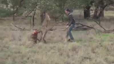 Noticia hombre salva a su perro de un canguro xd