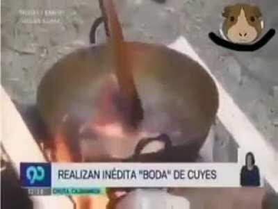 La vida es un XD constante