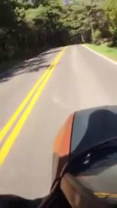 What could possibly go wrong?