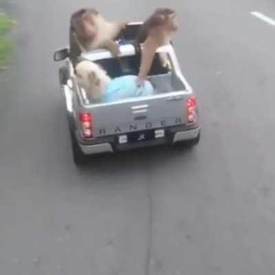 Going on for some long drive