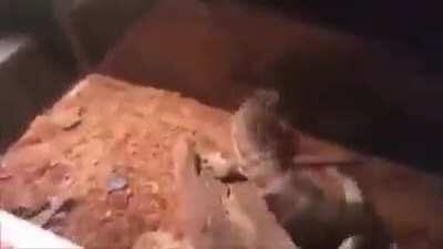 Reggie has been eliminated