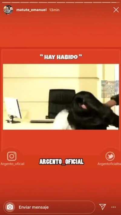 Se vienen las clases de cultura de capusotto