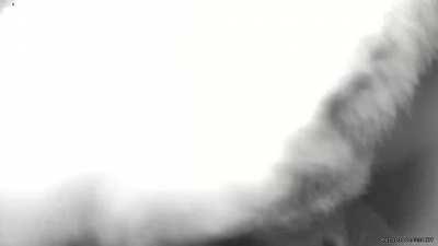 Fox cub takes interest in ring camera!