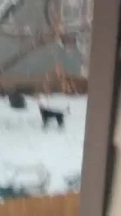 When The Adderall Drops