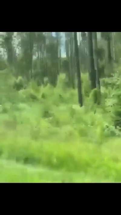 From Russia with love