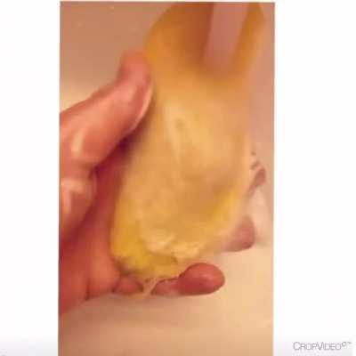 Забавы с манго