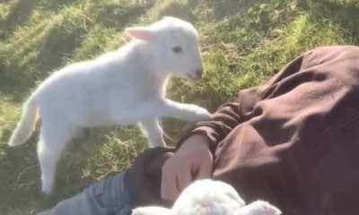 Is This What You Want