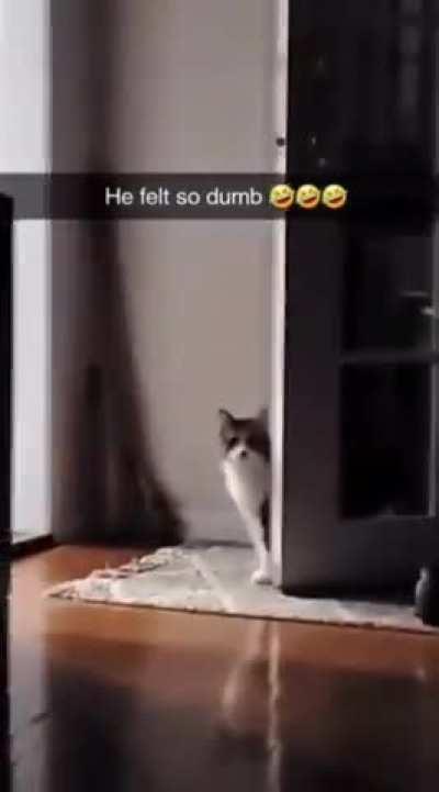 Let me in! Oh wait..