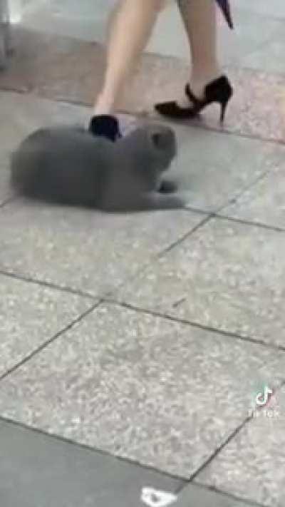 what was he doing down there?