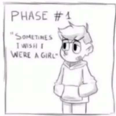 Fases de un trans...former