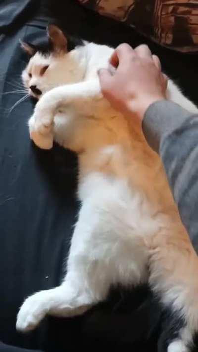 The gentlest ball of fluff