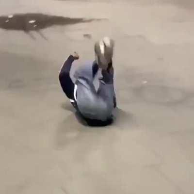 HMB While I Fall From The Skateboard