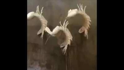 Me and the boys when we hear sounds of torment and pain