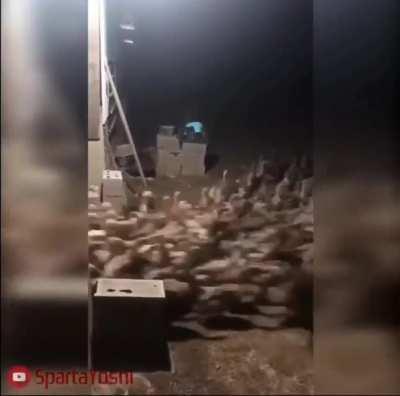 Armenians when Turkish-Armenian border open