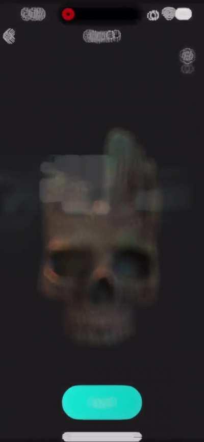 3D scanned with Kiri Engine on an iPhone 14 pro max using iOS 17 beta. Printed on an X1C. No mesh clean up at all.