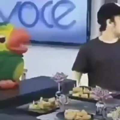 Pelo amor de deus loru