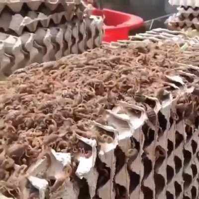 Nooooooooooooooooooooooooooooooooooope!