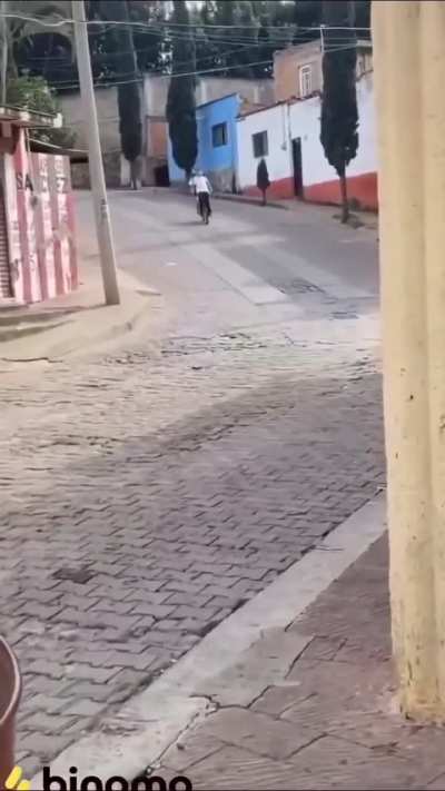 Idiots on bikes