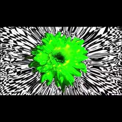 Enjoy this the one person who sees it