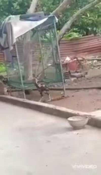 4 mim sem perder amizade